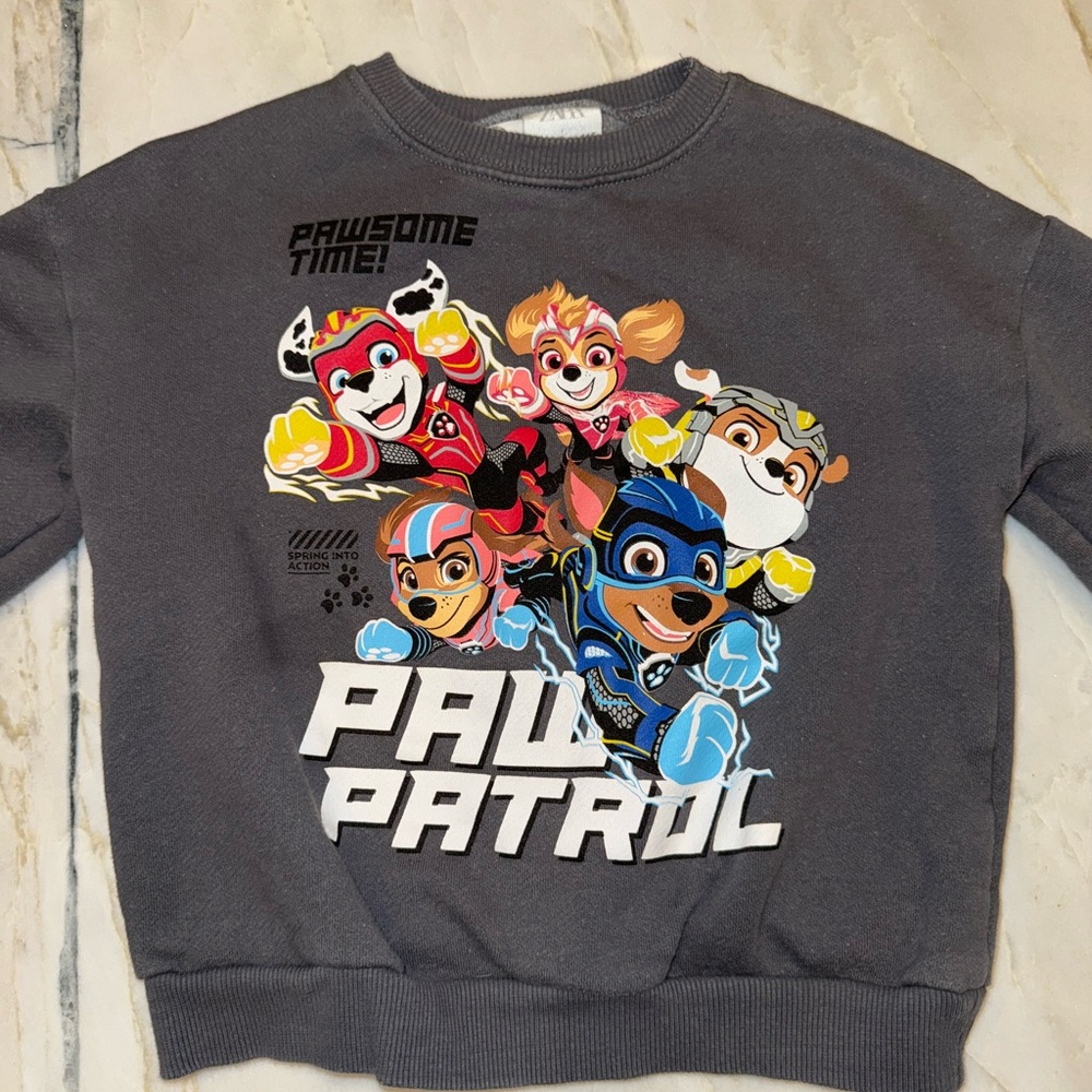 Paw Patrol Kids Gray Sweatset